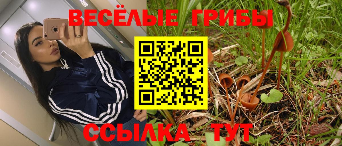 Галлюциногенные грибы мицелий Иркутск